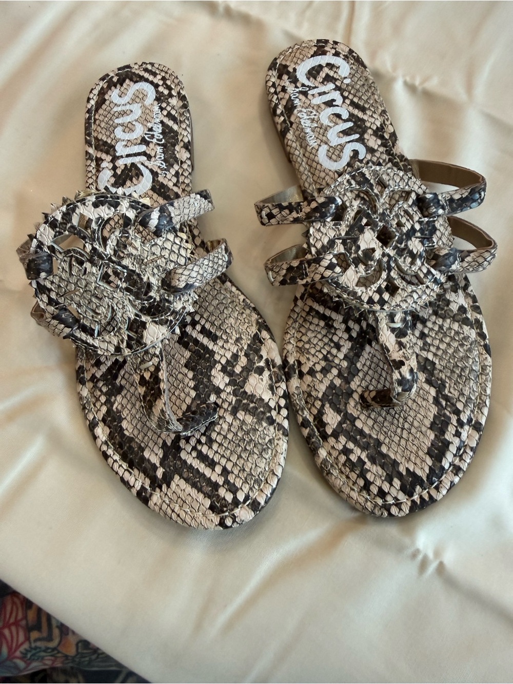 Circus by Sam Edelman Snake-Print Slide Sandals in Black and White 6.5